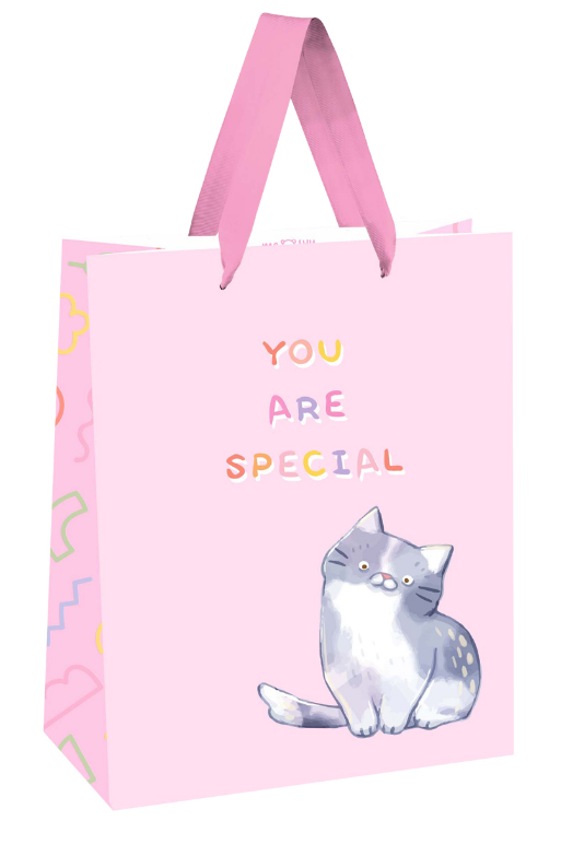 Пакет подарочный бумажный 18*23*10 "You are special" MESHU ручки-лента