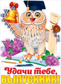 Плакат А2 "Удачи тебе выпускник" вырубной