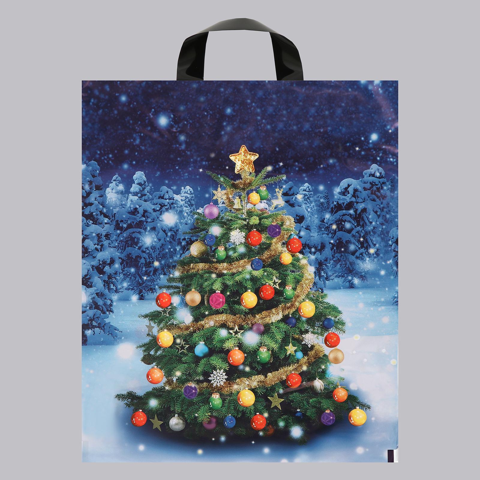 Пакет с петл. ручками 28*35 "Зимняя красавица" НГ