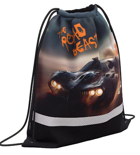 Сумка  для школьной обуви ErichKrause "Road Beast" 41х50см, вентиляция