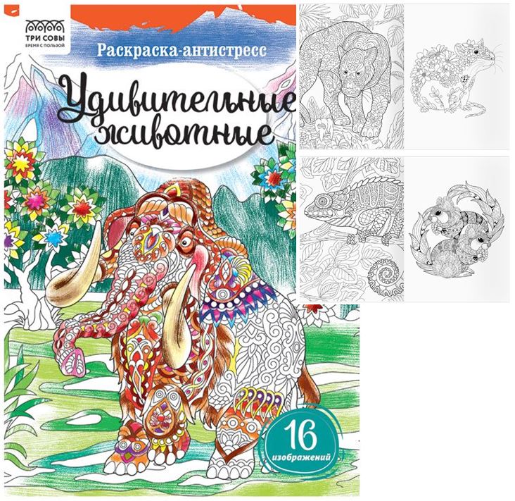 Книжка-раскраска антистресс А4 16 стр. Три совы Удивительные животные 7+