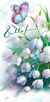 pic_2026_6ee2d53c-e455-11f0-8df4-00e01b996514