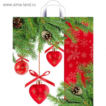 pic_2026_d3d346b6-c910-11e7-80ca-4ccc6a2bb4bb