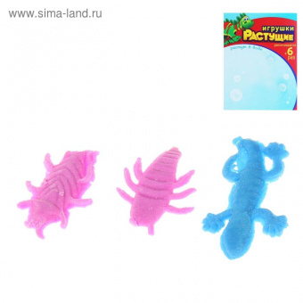 pic_2026_331d7a8a-b4b7-11e8-80ce-4ccc6a2bb4bb