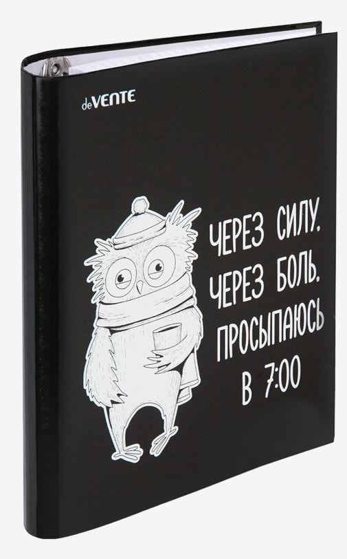 Тетрадь на кольцах тв. обл. 120л. deVENTE "Утро" мат.ламин.