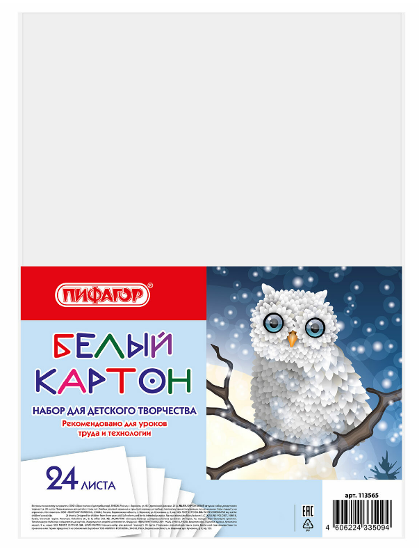 Картон белый А4 24 л. Пифагор "Совушка" 200г/м2