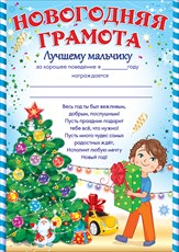 11.743 Новогодняя грамота лучшему мальчику А4
