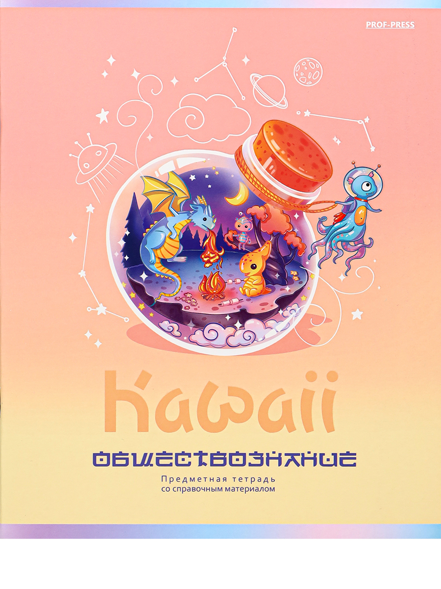Тетрадь Предм. Обществознание 48л. Проф-Пресс "KAWAII" стандарт, твин-лак