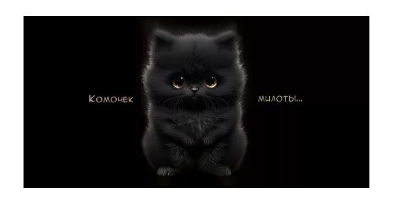 3.0000571 Конверт для денег "Комочек милоты..."
