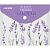 Папка с кнопкой с рис. А6  0,15 мм deVENTE "Lavender" непрозрач 