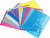 Папка с кнопкой с рис. А4  0,18 мм SPONSOR "MY CLEAR BAG" Клетка